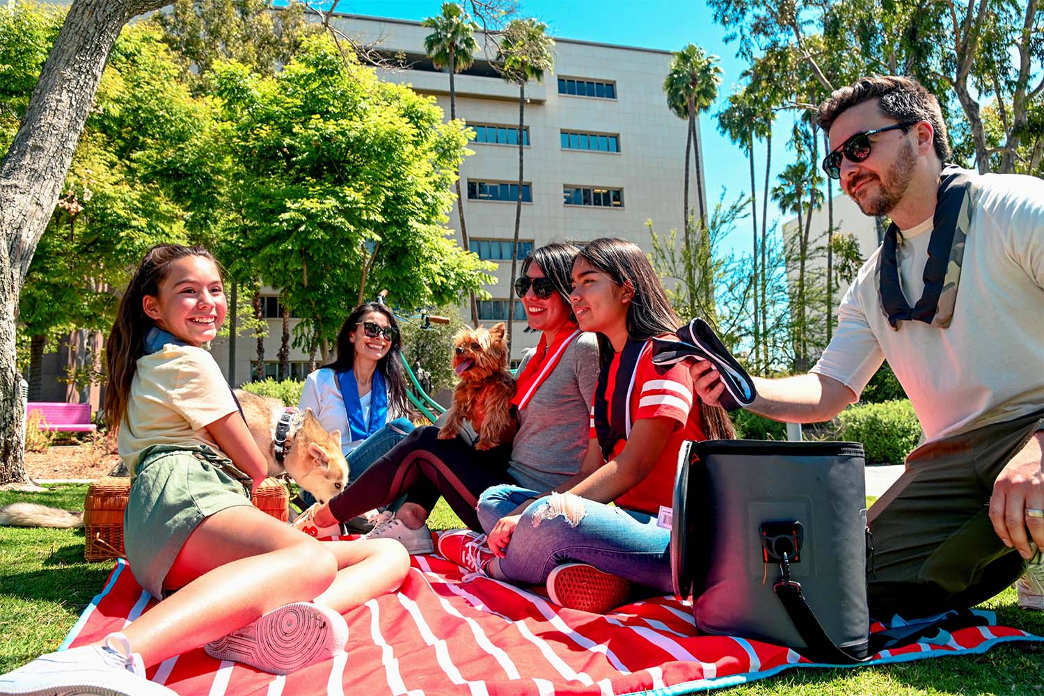 A family having a picnic on fathers day